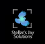 Stellar's Jay Solutions